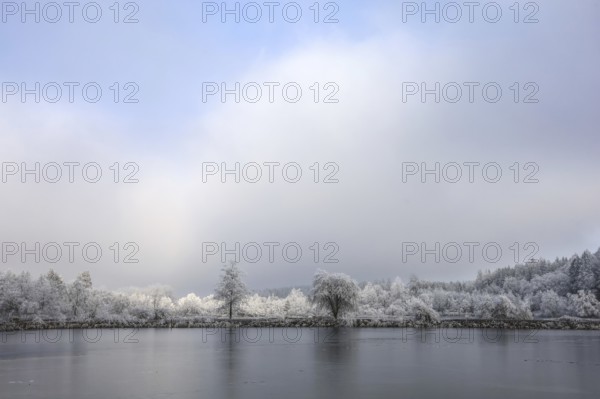 Snowy trees and a frozen lake under a cloudy sky create a calm winter atmosphere, Schwackenreuter-Baggerseen-Rübelisbach nature reserve, Mühlingen, Konstanz district, Baden-Württemberg, Germany