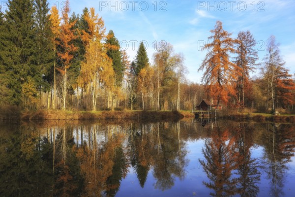 A lake reflecting autumn trees and a small hut under a blue sky, Schwackenreuter-Baggerseen-Rübelisbach nature reserve, Mühlingen, Konstanz district, Baden-Württemberg, Germany