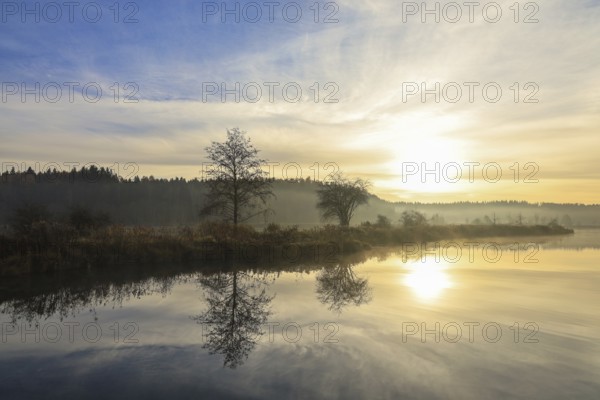 Landscape with lake at sunrise, trees reflected in water, peace and peaceful atmosphere, Schwackenreuter-Baggerseen-Rübelisbach nature reserve, Mühlingen, Konstanz district, Baden-Württemberg, Germany
