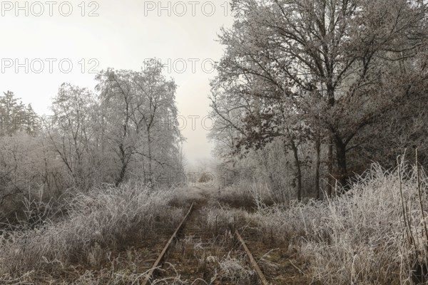 Abandoned train tracks in a frosty winter landscape near Mühlingen, with fog and hoarfrost on trees and shrubs, Schwackenreuter Baggerseen-Rübelisbach nature reserve, Mühlingen, Konstanz district, Baden-Württemberg, Germany