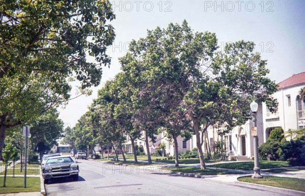 1972 Chevrolet Impala car on suburban tree-lined street of housing, California, USA 1976