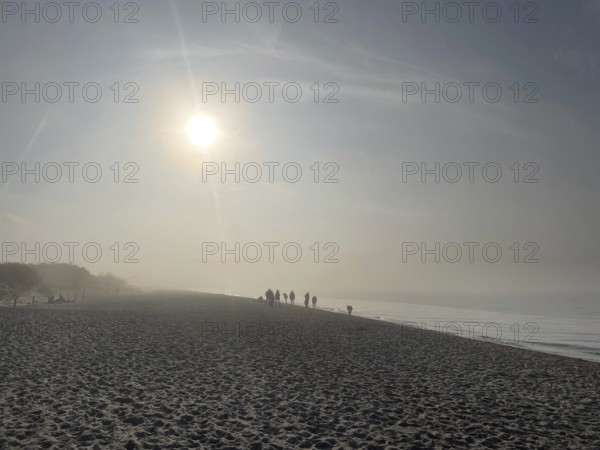 Fog on the beach in the Western Pomerania Lagoon Area National Park, Darss-Zingster Boddenkette, Baltic Sea, peninsula, nature, autumn, nature reserve, Fischland-Darß-Zingst, Mecklenburg-Western Pomerania, Germany