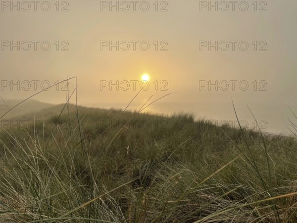 Sunset, fog on the beach in the Western Pomerania Lagoon Area National Park, Darss-Zingster Bodden Range, Baltic Sea, peninsula, nature, autumn, nature reserve, Fischland-Darß-Zingst, Mecklenburg-Western Pomerania, Germany