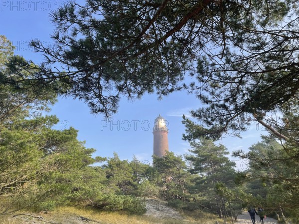 Lighthouse at Darßer Ort, Vorpommersche Boddenlandschaft National Park, Darss-Zingster Boddenkette, Baltic Sea, peninsula, nature, autumn, nature reserve, Fischland-Darß-Zingst, Mecklenburg-Western Pomerania, Germany