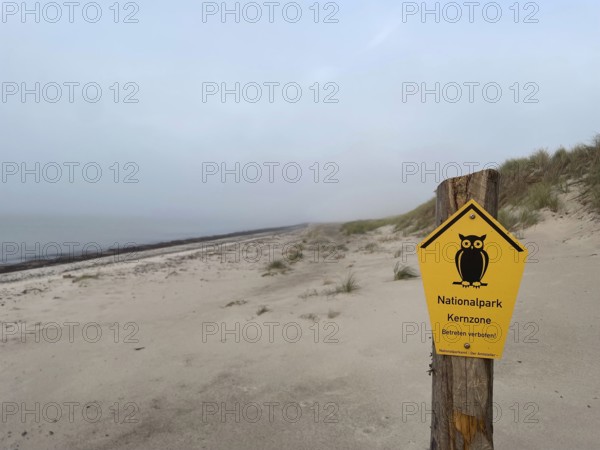 National Park core zone: No entry is allowed. Beach in the Western Pomerania Lagoon Area National Park, Darss-Zingster Bodden Range, Baltic Sea, Peninsula, Nature, Autumn, Nature Reserve, Fischland-Darß-Zingst, Mecklenburg-Western Pomerania, Germany