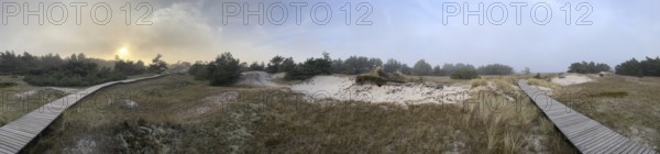 Landscape with hiking trails through the Western Pomerania Lagoon Area National Park. panorama, Darss-Zingster Boddenkette, Baltic Sea, peninsula, nature, autumn, nature reserve, Fischland-Darß-Zingst, Mecklenburg-Western Pomerania, Germany