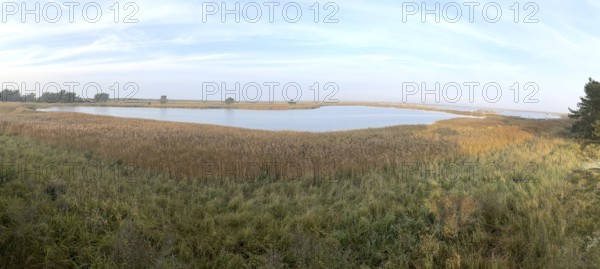 Lagoon landscape, Western Pomerania Lagoon Area National Park, Darss-Zingster Boddenkette, Baltic Sea, peninsula, nature, autumn, nature reserve, Fischland-Darß-Zingst, Mecklenburg-Western Pomerania, Germany