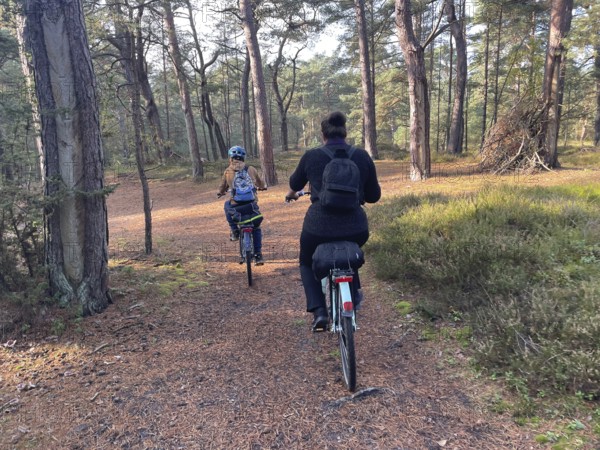 Family trip by bike, mother with child, Vorpommersche Boddenlandschaft National Park, Darss-Zingster Boddenkette, Baltic Sea, peninsula, nature, autumn, nature reserve, Fischland-Darß-Zingst, Mecklenburg-Western Pomerania, Germany