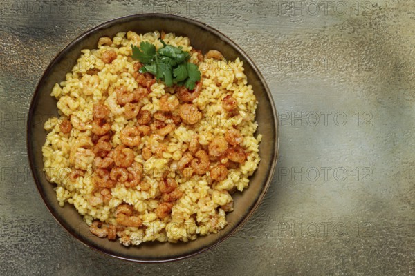 Risotto with shrimp, in a bowl, on a textured surface, with a side dish of fresh coriander, homemade, no people