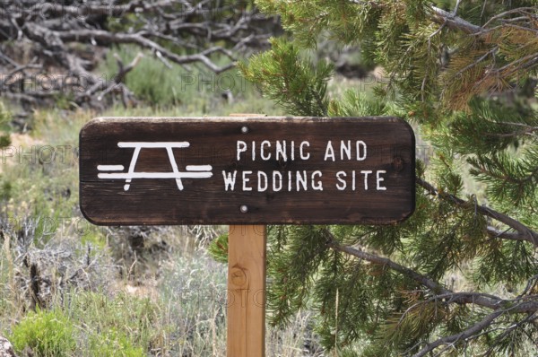 Picnic and wedding spot sign between trees, Grand Canyon National Park, Arizona, USA