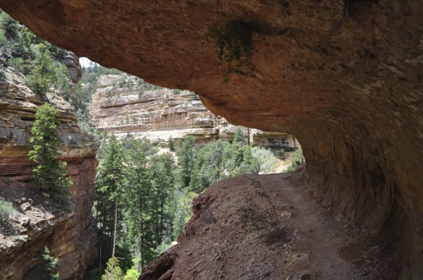 Hiking trail under an overhang with views of green trees and rock walls, Grand Canyon National Park, Arizona, USA