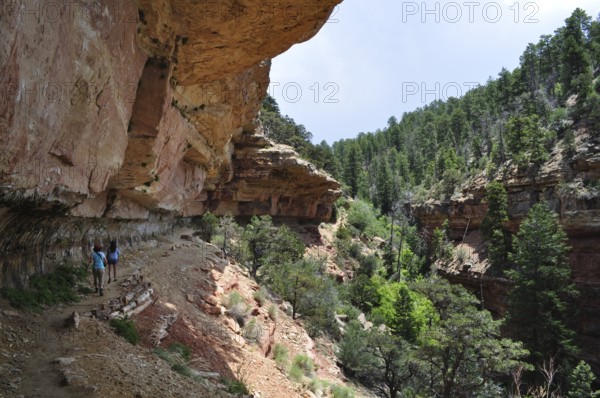 Hiker walking along steep and rocky canyon walls in green surroundings, Grand Canyon National Park, Arizona, USA