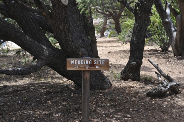 Wooden sign points the way to a wedding venue in a wooded area, Grand Canyon National Park, Arizona, USA