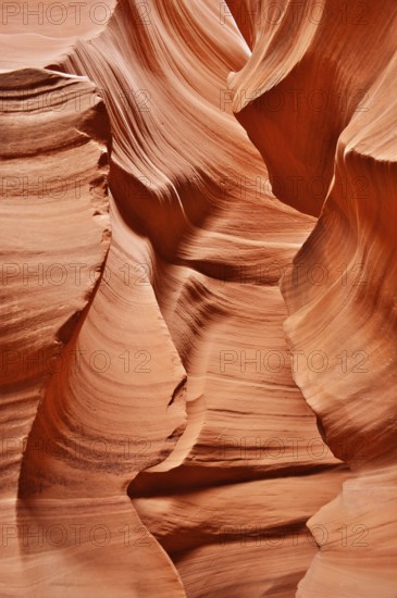 Close-up of smooth, textured orange sandstone with natural shapes, Antelope Canyon, Navajo Nation Reservation, Lake Powell Tribal Park, Arizona, USA
