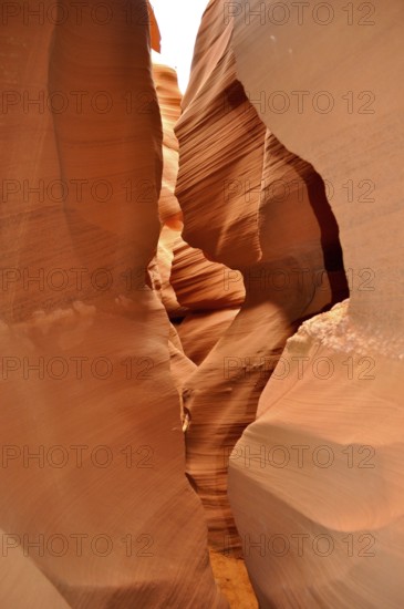 Narrow passage of smooth, organically shaped orange sandstone, Antelope Canyon, Navajo Nation Reservation, Lake Powell Tribal Park, Arizona, USA