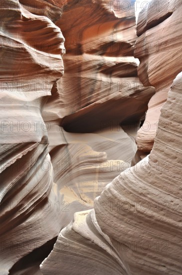 Narrowly winding sandstone canyon with intense color contrasts, Antelope Canyon, Navajo Nation Reservation, Lake Powell Tribal Park, Arizona, USA