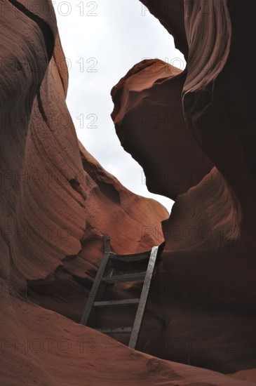 Steep sandstone rock walls with a ladder below and a view of the sky, entrance to Antelope Canyon, Navajo Nation Reservation, Lake Powell Tribal Park, Arizona, USA