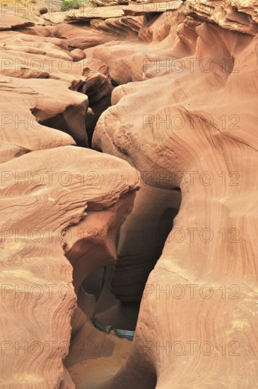 Deep sandstone gorge with curved, eroded walls in earthy tones, Antelope Canyon, Navajo Nation Reservation, Lake Powell Tribal Park, Arizona, USA