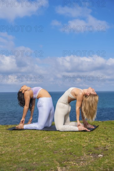 Two diverse women performing ustrasana yoga pose on mats at a green cliff overlooking the sea, symbolizing wellness, balance, and mindful living in nature