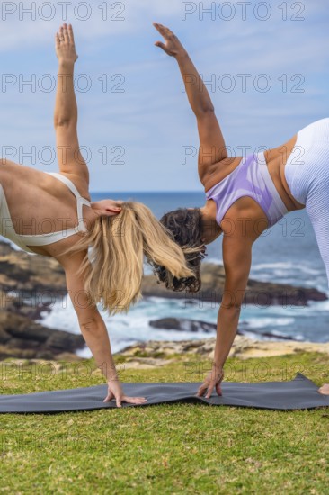 Two women practicing yoga on mats atop a grassy coastal cliff, balancing and stretching in peaceful outdoor meditation with ocean views, sunlight and green scenery