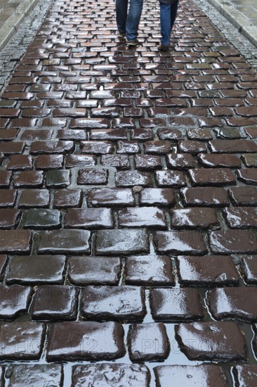 Rainproof Paved Road, Krakow, Poland