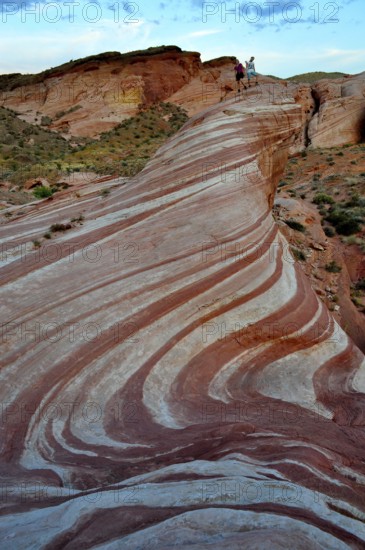 People on a striped rock formation snaking through the desert, Valley of Fire State Park, Nevada, USA