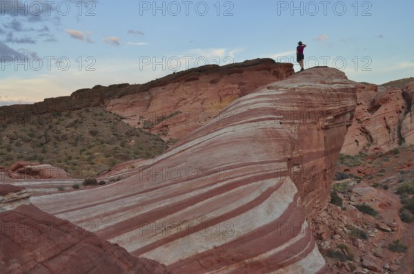 Person standing boldly on a striped cliff in the middle of the desert, Valley of Fire State Park, Nevada, USA