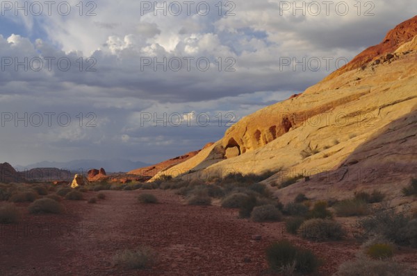 Wide landscape with cloud formations and illuminated red and yellow rocks, Valley of Fire State Park, Nevada, USA