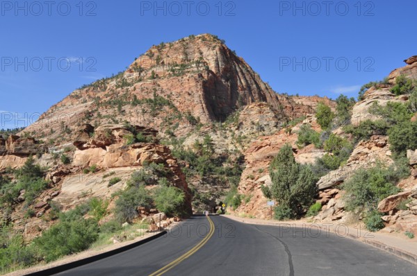 Road leads through red rocks into a picturesque mountain landscape under clear skies, Zion National Park, Utah, USA
