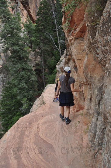 Hiker on a narrow trail to Angel's Landing viewpoint along red rocks surrounded by green trees, Zion National Park, Utah, USA