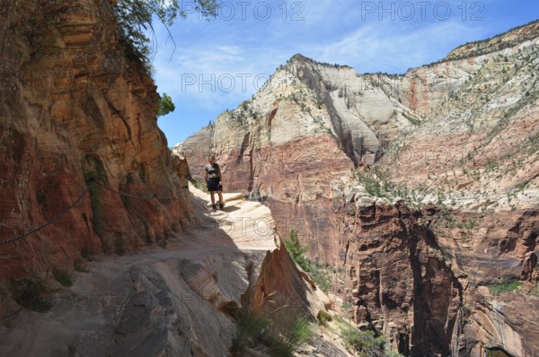 Person on a narrow hiking trail to Angel's Landing viewpoint along a red rocky mountain range, Zion National Park, Utah, USA