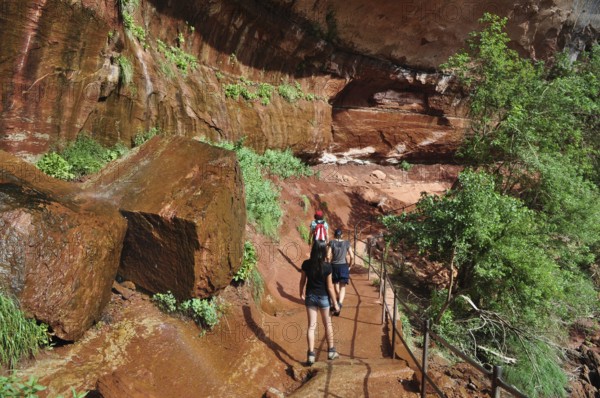 People hike along a trail that leads through red cliffs and lush vegetation, Zion National Park, Utah, USA