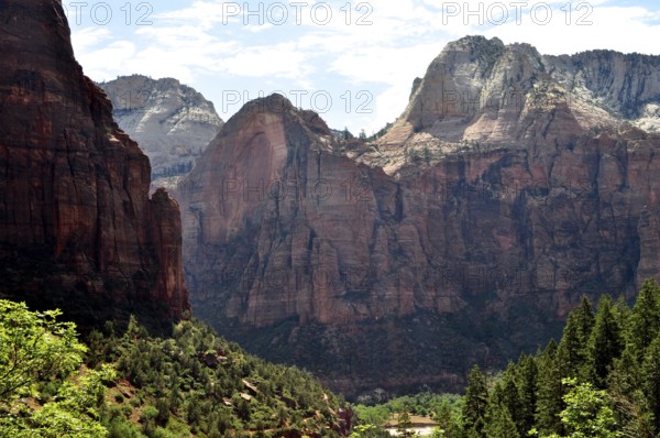 Dramatic cliffs and mountains rise above thick forests under a blue sky, Zion National Park, Utah, USA