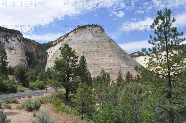 Characteristic hills and geological formations next to a tree-lined road, Zion National Park, Utah, USA