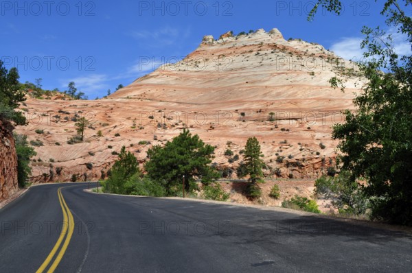 A winding road snakes through a landscape of orange rocks and trees, Zion National Park, Utah, USA