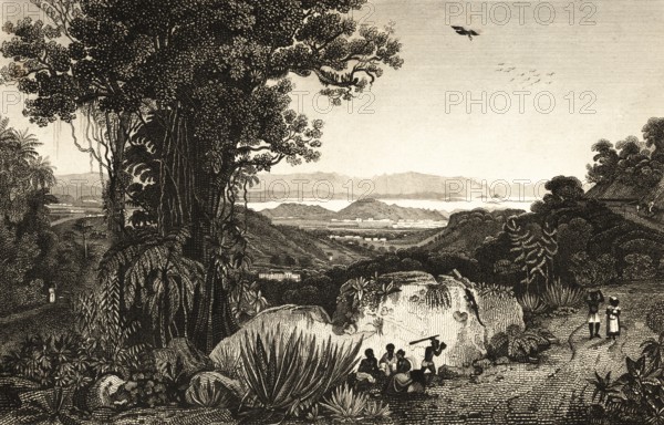 Rio de Janeiro, Brazil, bay, mountains, forest, lianas, nature, agaves, birds, locals, architecture, building, steel engraving, historical illustration 1834