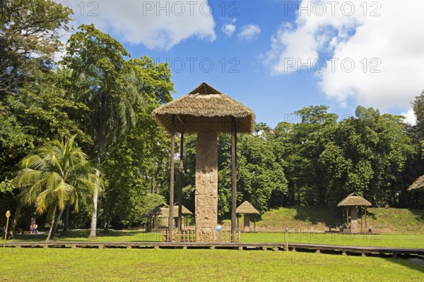 Quirigua Archaeological Park, pre-Columbian Mayan city in the jungle or jungle, Izabal Department, Guatemala