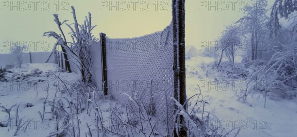 Snowy fence surrounded by a foggy winter landscape, winter, hiking in the Thuringian Forest nature park Park