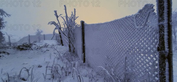 Snowy fence in a cold, foggy winter twilight, winter, hiking in the Thuringian Forest nature park Park