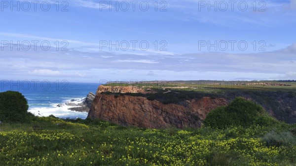 Red cliffs overlook the raging ocean with green vegetation and blooming flowers in the foreground, Lagos, Algarve, Portugal
