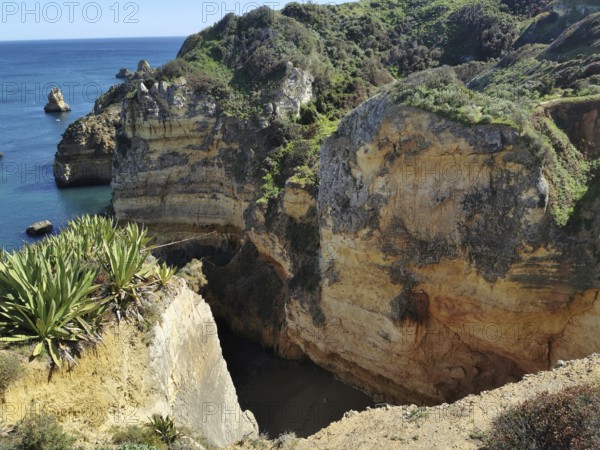 Steep coastal cliffs with green vegetation and deep blue sea in the background, Lagos, Algarve, Portugal