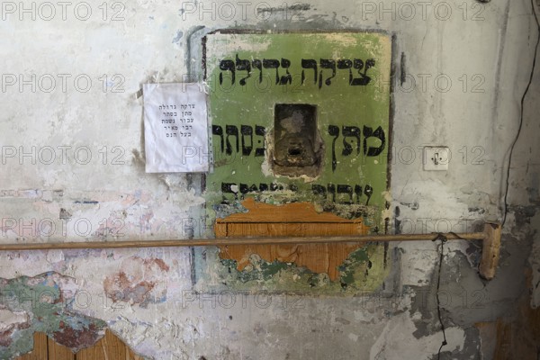Sacrifice in a wall, Hasidic Synagogue, also Jacob Gansel Schul, is being restored, Lemberg, Ukraine