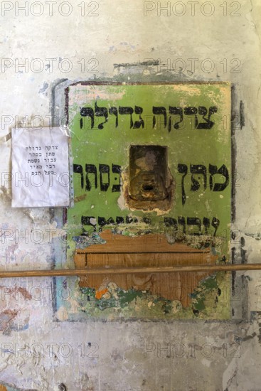 Sacrifice in a wall, Hasidic Synagogue, also Jacob Gansel Schul, is being restored, Lemberg, Ukraine
