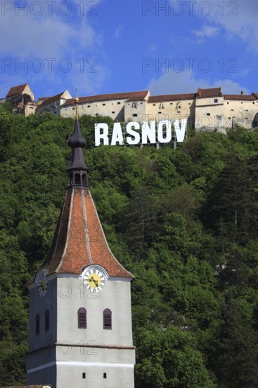 Town of Rasnov, German Rosenau. In the foreground is the distinctive clock tower of the Protestant Church, St. Matthias Church, in the background on the hill is the medieval Rasnov Fortress, Rosenau Castle, Brasov District, Transylvania, Romania