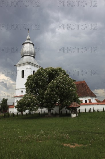 The Reformed Church in Lisznyo, Lisnau, with a blossoming chestnut tree in front, a historic monument in Covasna District, Transylvania, Romania