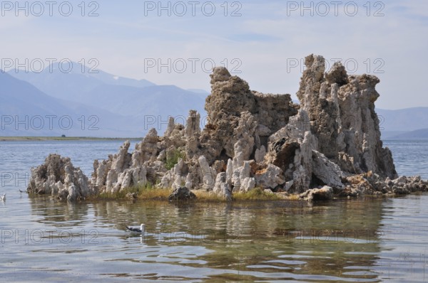 Rocks, limestone formations, in a calm lake, Lake Natron, with mountains in the background, Mono Lake, California, USA
