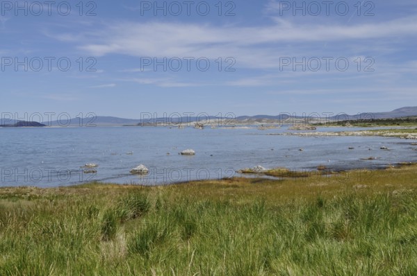 A tranquil shoreline with grassy areas and a blue lake under a clear sky, Lake Natron, Mono Lake, California, USA