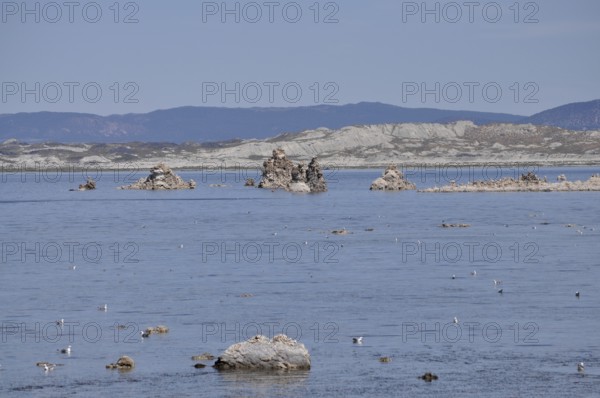 A still lake, Lake Natron, with rocks, limestone formations, and birds, Mono Lake, California, USA