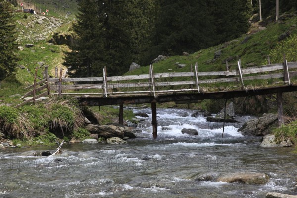 Torrent and old wooden bridge on the Transfogarasan High Road, Transfagarasan, connects the Arges Valley in Great Wallachia with the Olt Valley in Transylvania, crossing the Fagaras Mountains in the Transylvania Alps, to melt snow in May, Romania