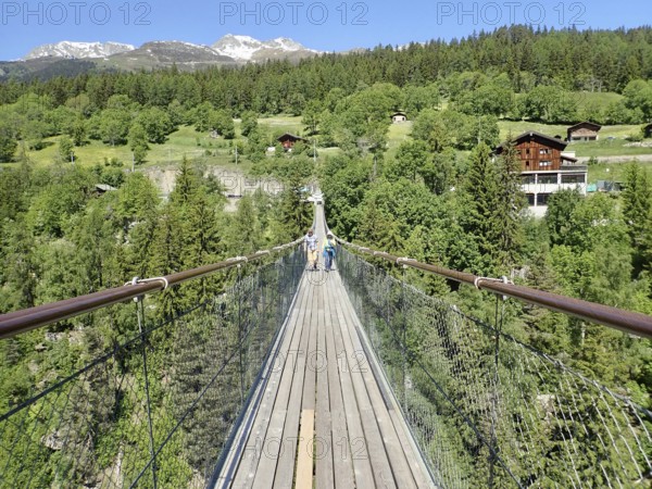 Extensive suspension bridge in idyllic mountain and forest areas in sunny weather, Goms Bridge, Fürgangen, Mühlebach, Goms, Canton of Valais, Switzerland